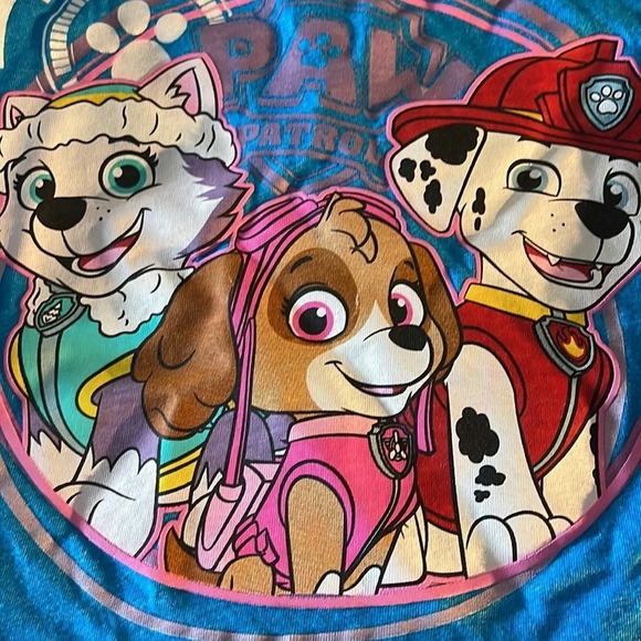 Paw Patrol 🐾 Toddler Tee, Size 2T, EUC​ - Picture 2 of 5
